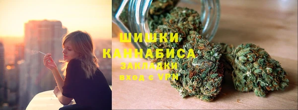 spice Алзамай