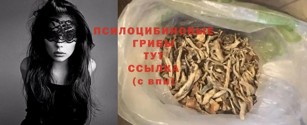 spice Алзамай