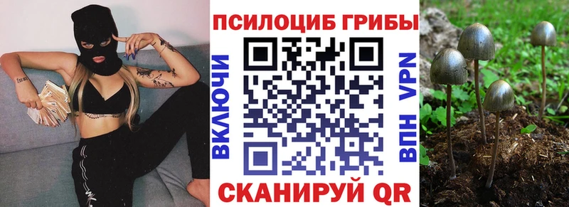 сколько стоит  Урай  Галлюциногенные грибы MAGIC MUSHROOMS 