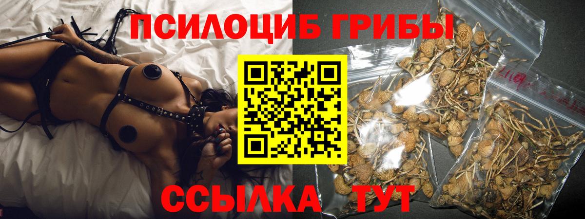 Галлюциногенные грибы MAGIC MUSHROOMS  Псилоцибиновые грибы мицелий  Урай  закладки  Вход с VPN 